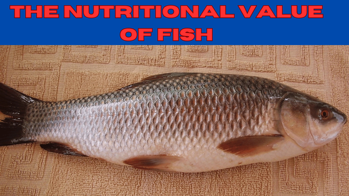 The Nutritional Value of Fish: A Complete Guide for 2024